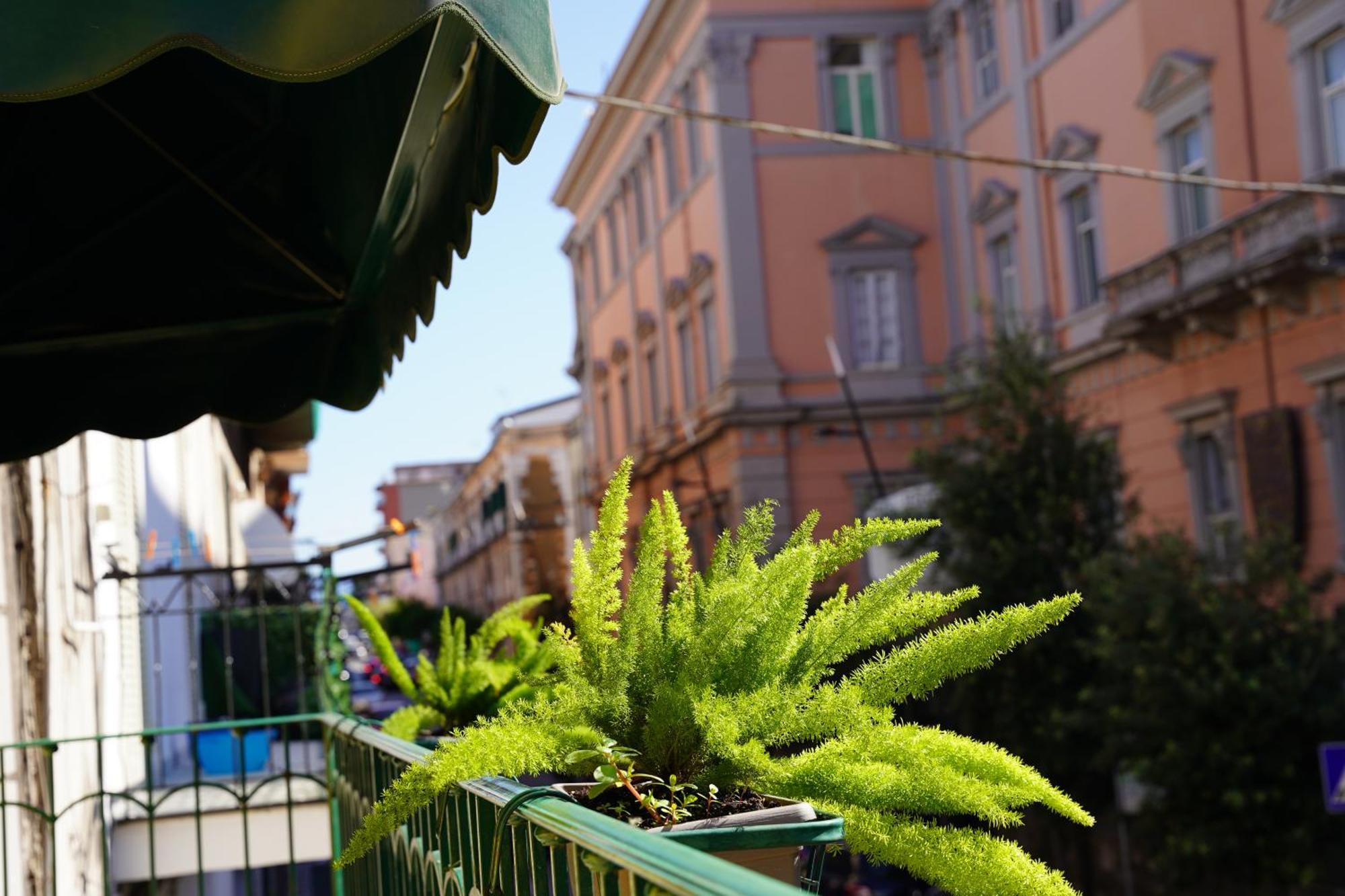 La Maison Di Donna Elena Cercola Esterno foto